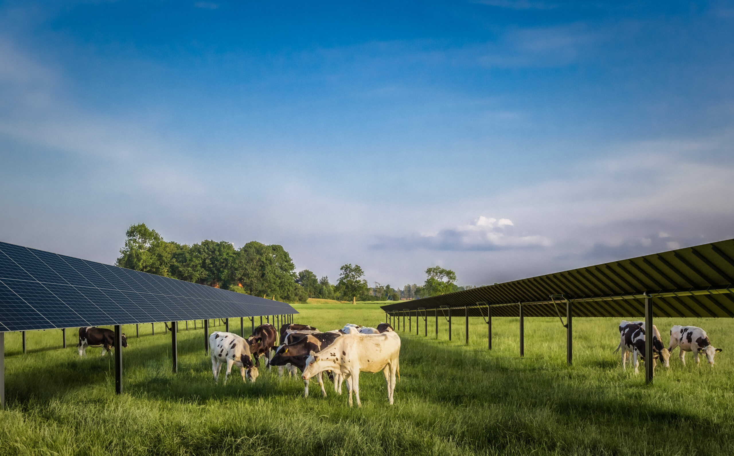 parc agrivoltaïque de Monestier